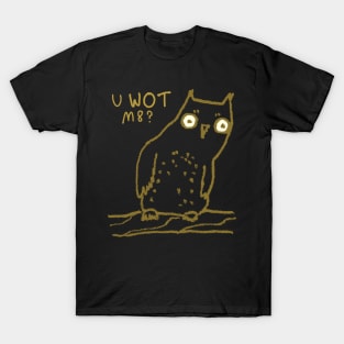 Confused Owl T-Shirt